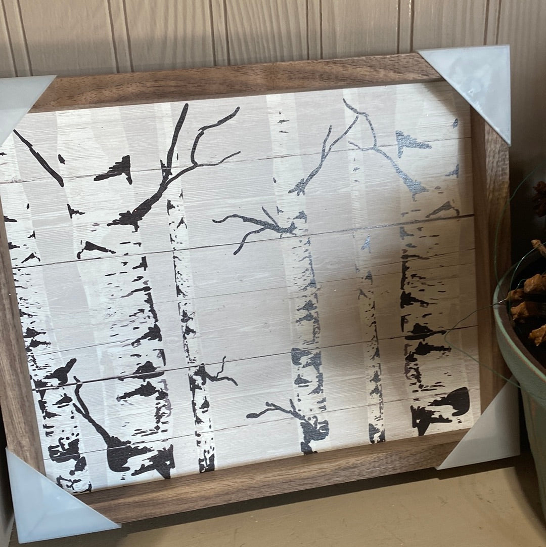 Picture, White birch trees wood