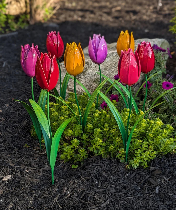 Bold Tulip Stake - 24"