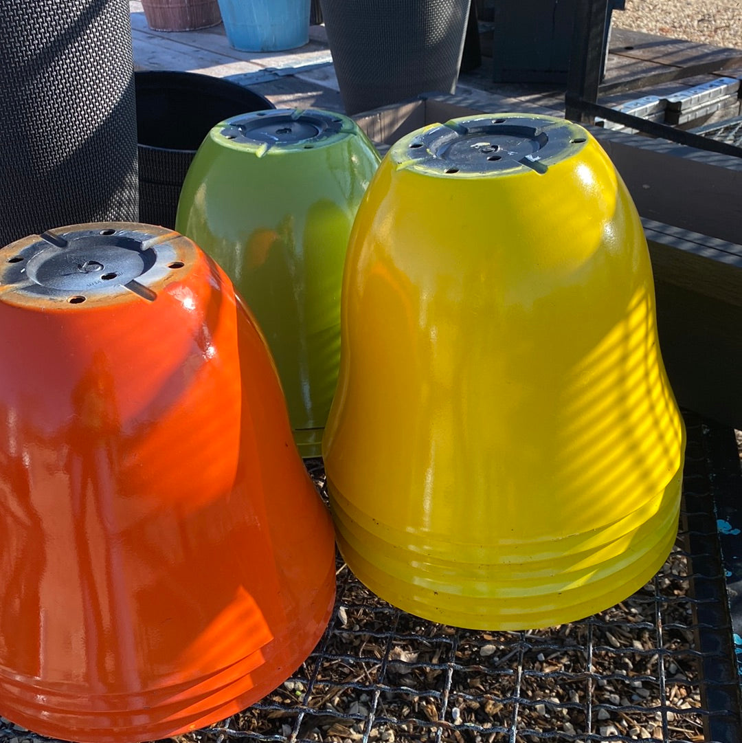 Baby Bell Planter - Assorted colors