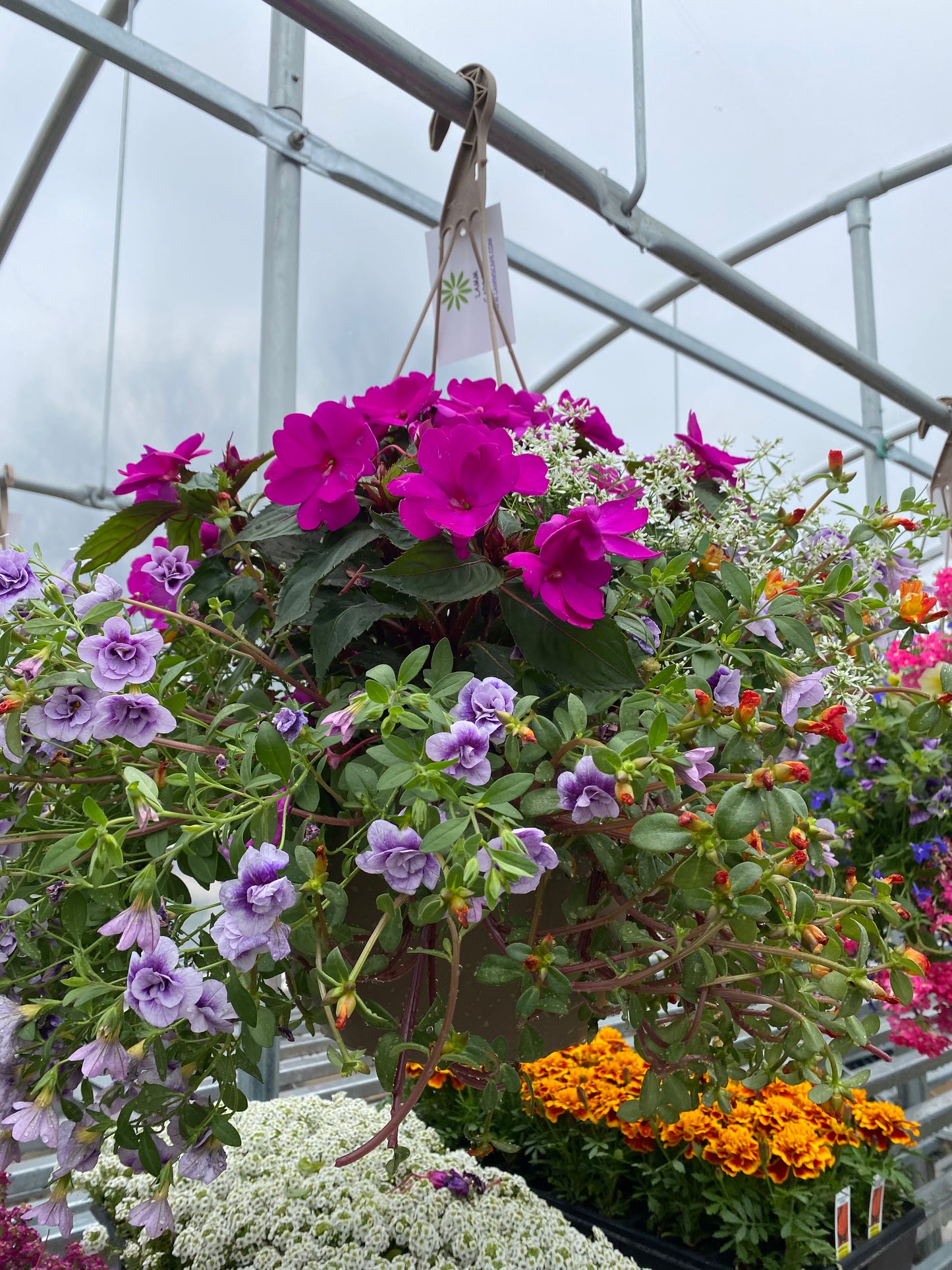 Hanging Basket $59
