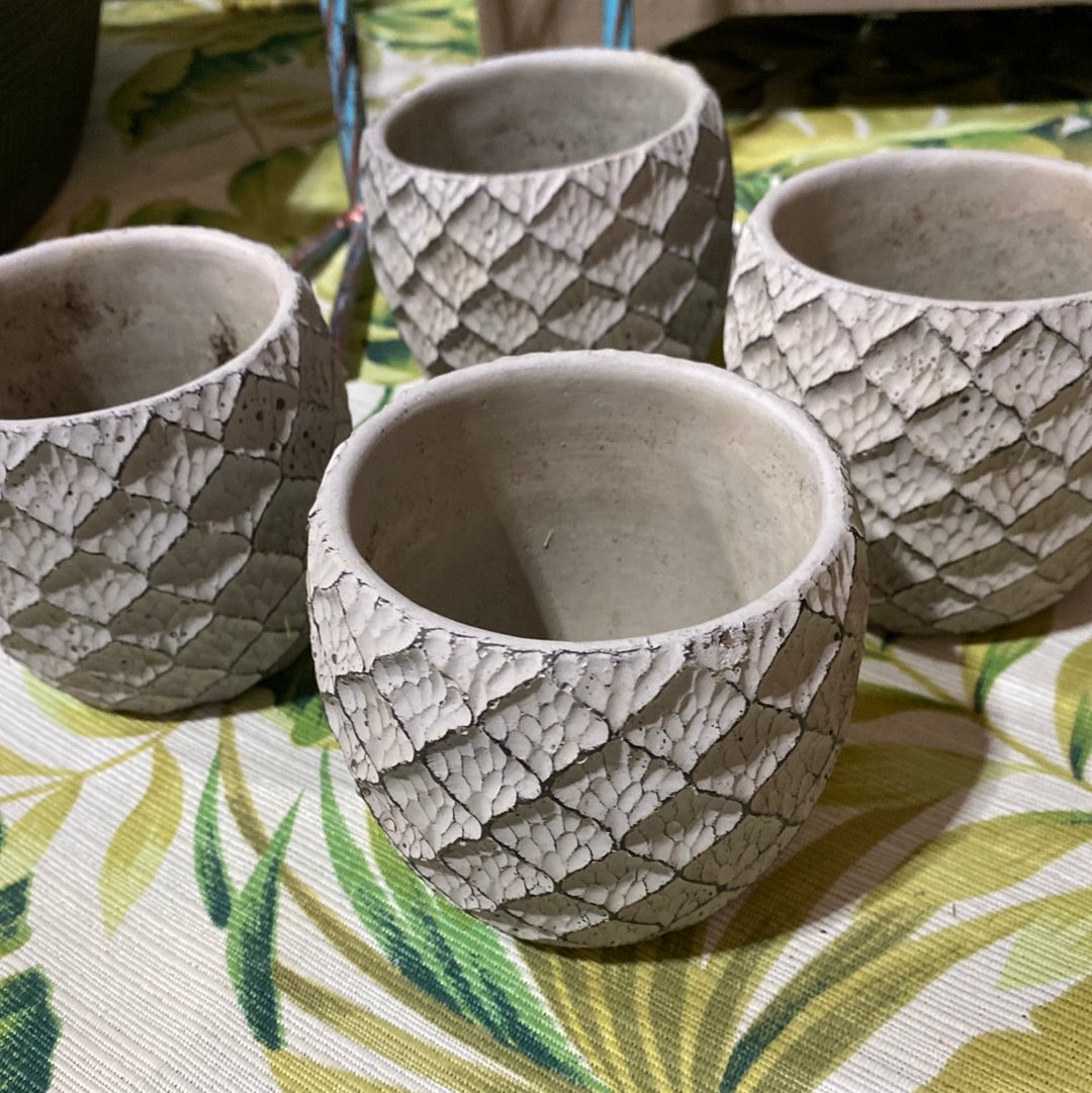 Mini pots for succulents