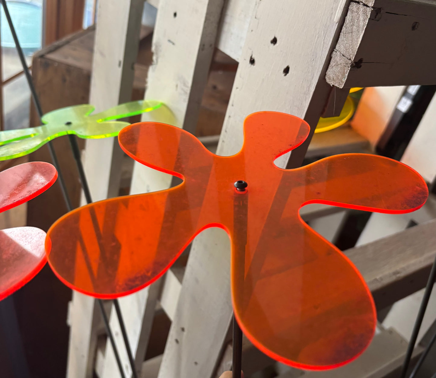 Sun Disk, Flower Orange 8"