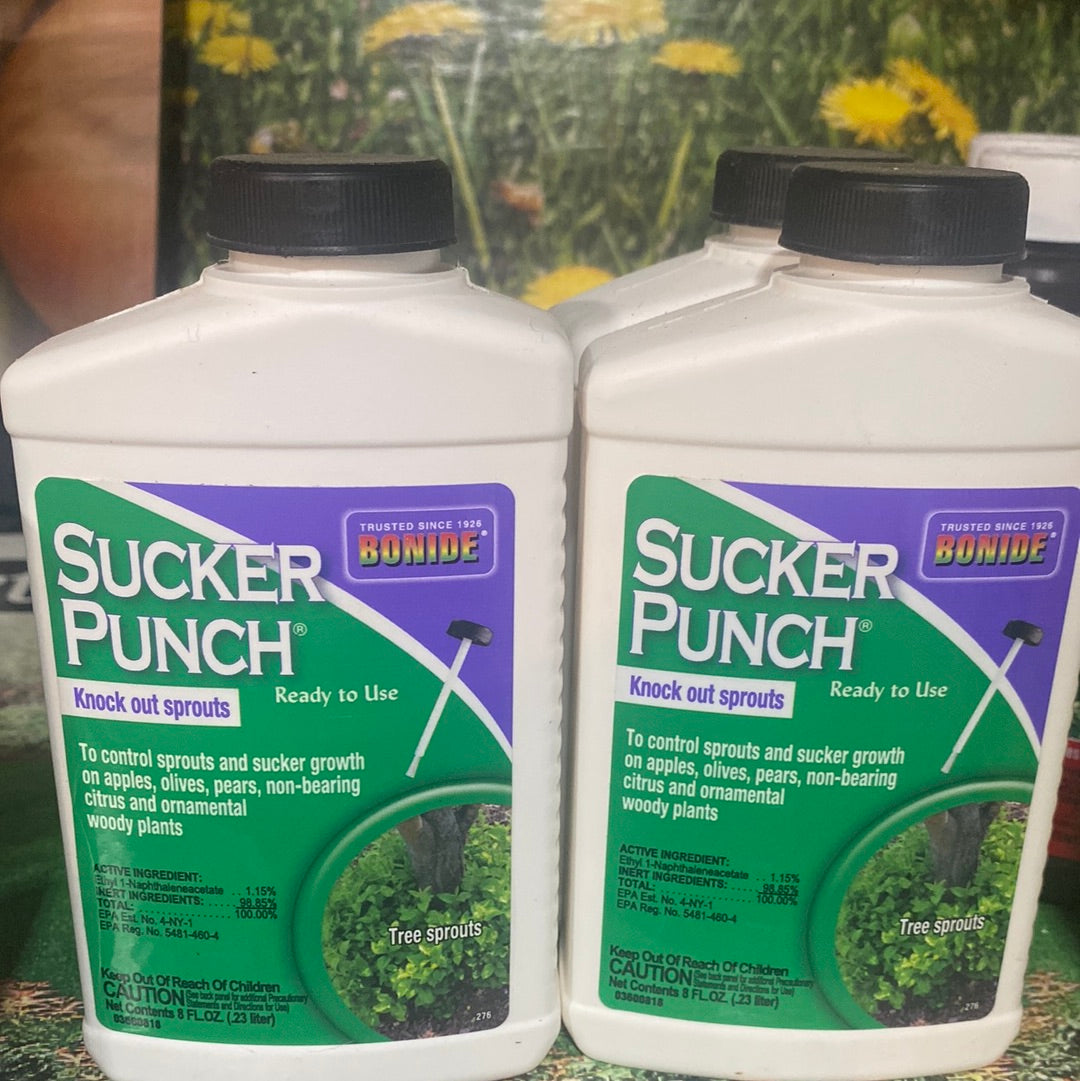 Sucker Punch RTU Brush Top-8 oz