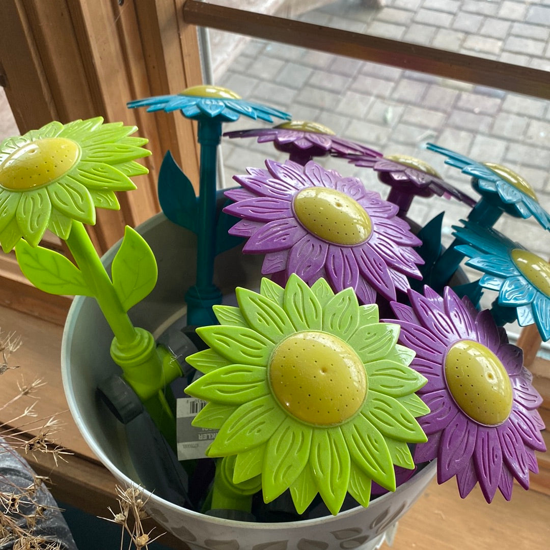 Sprinkler, Sunflower