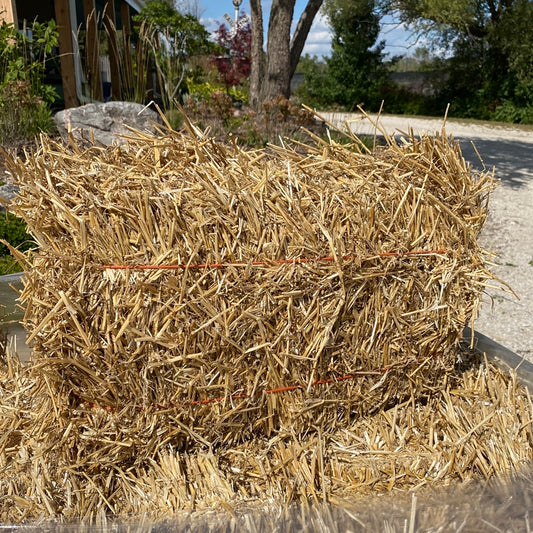 Straw Bale - Pony