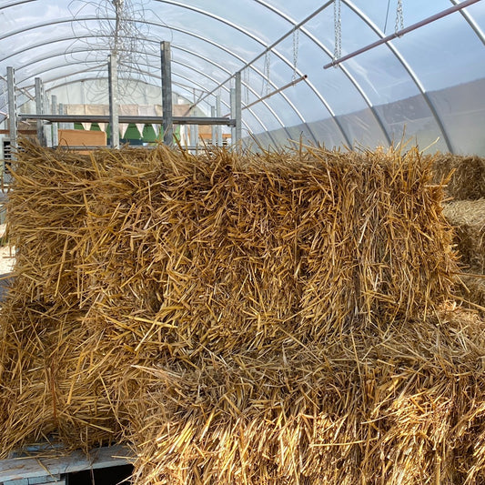 Straw Bale - large