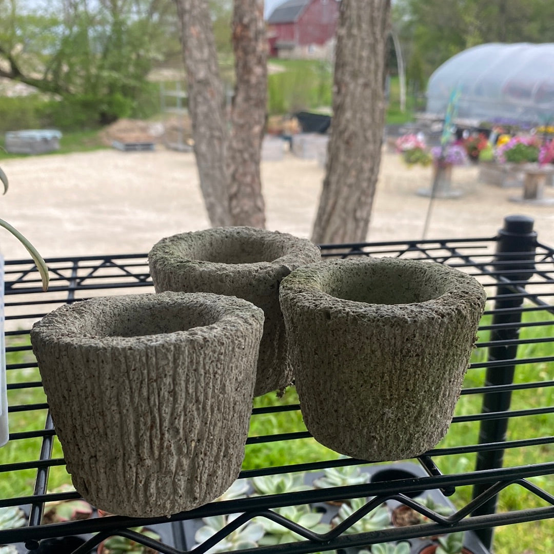 Mini pots for succulents