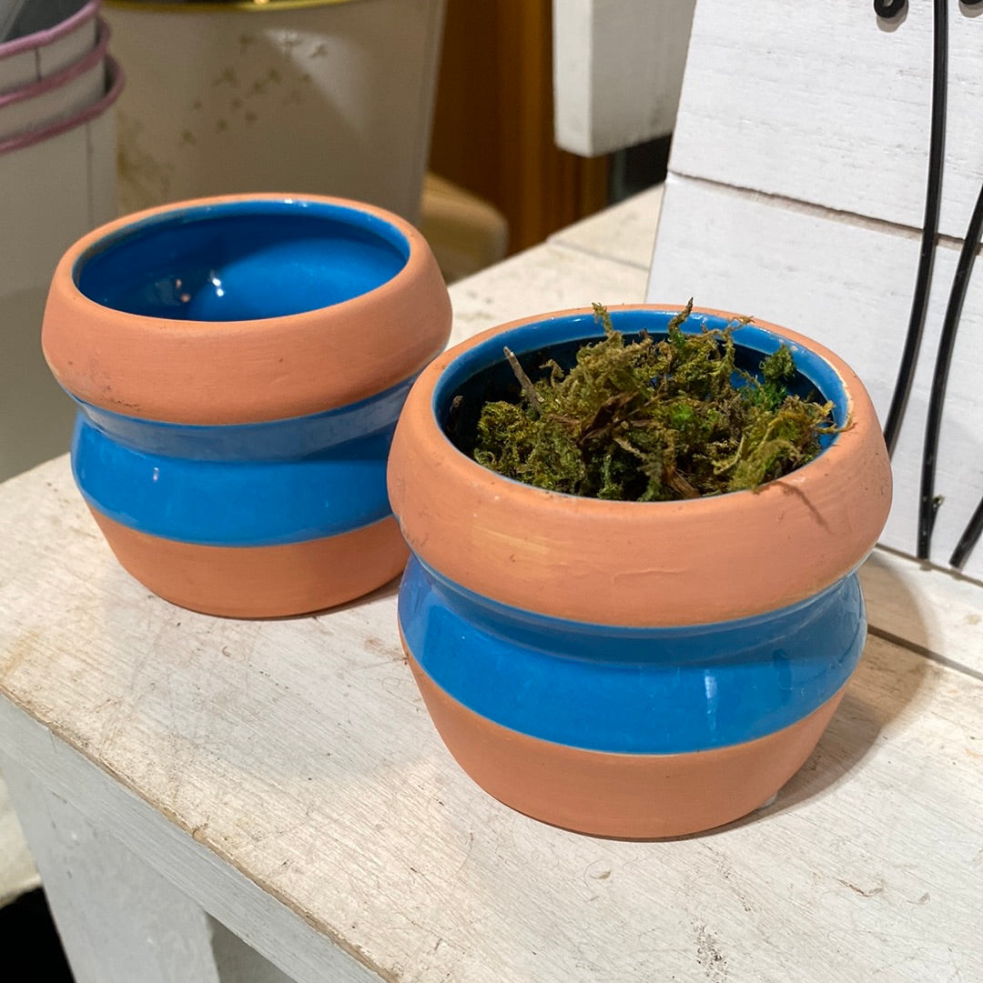 Mini pots for succulents