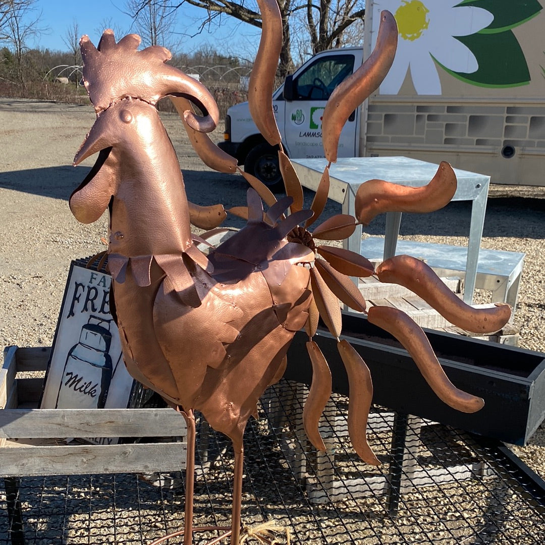 Rooster Spinning Tail-43"