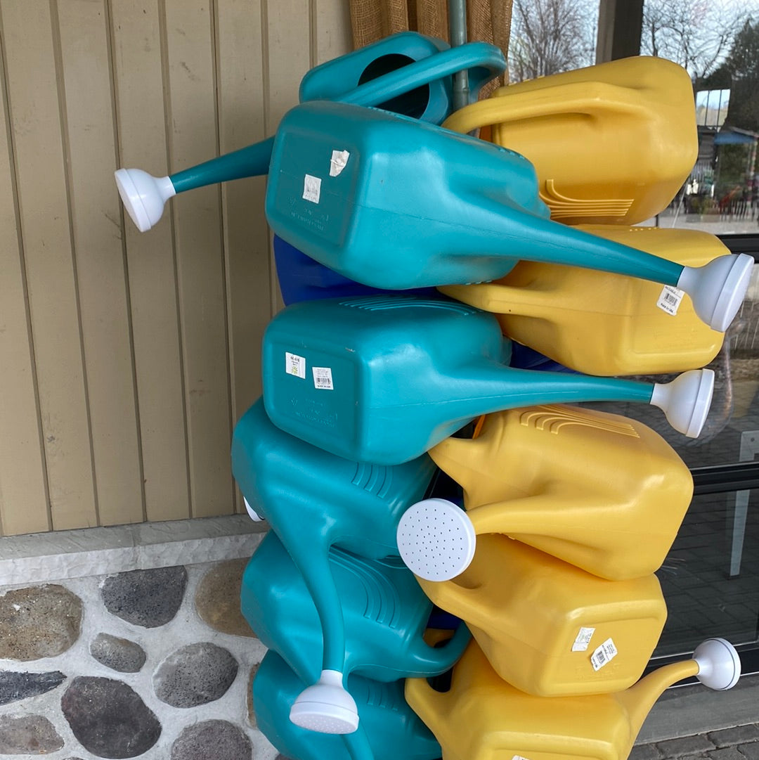 Watering Can, Teal 2 gallon