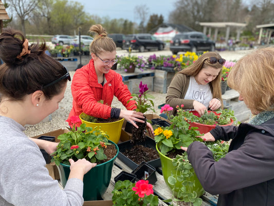 Baby Bell Planter - Assorted colors