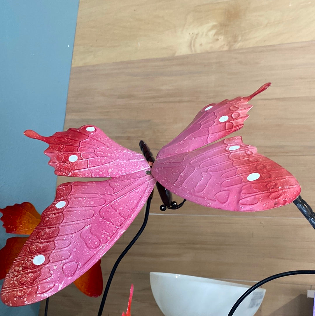 Butterfly Stakes-large