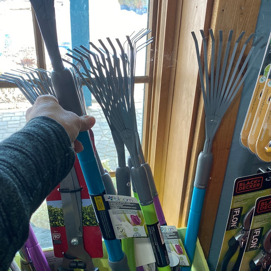 Bloom Rake Telescopic