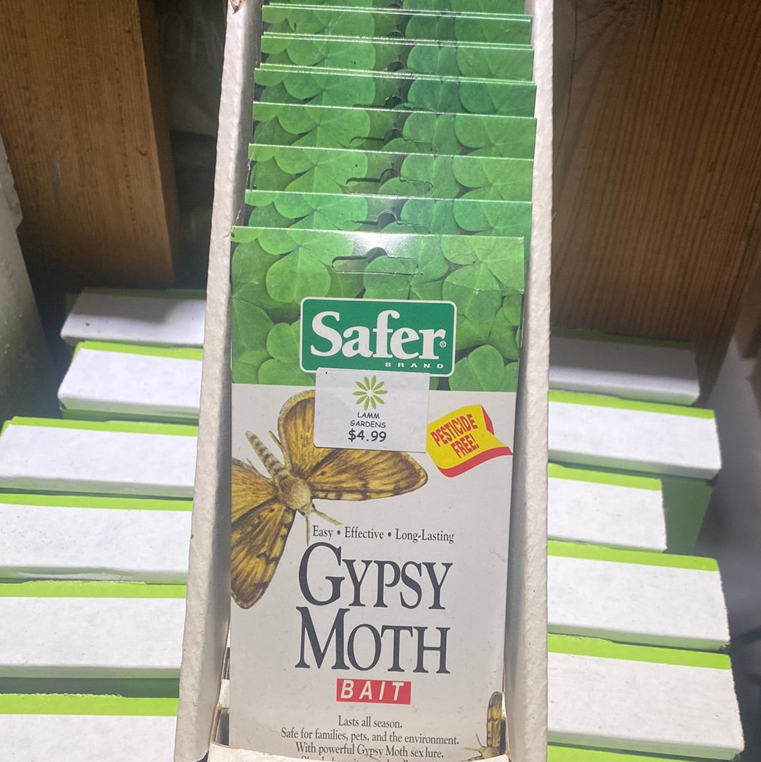 Gypsy Moth Bait