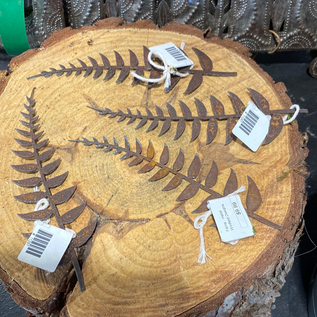 Ferns - metal